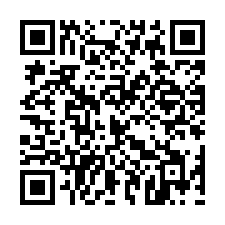 QR code for 509MOI
