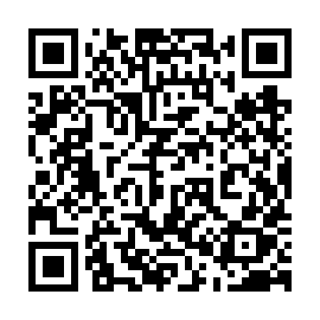QR code for 509VXX