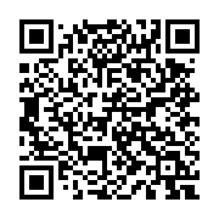 QR code for 510DUL