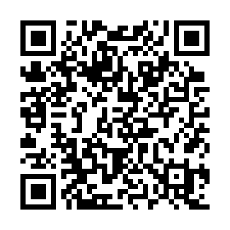 QR code for 511SVI