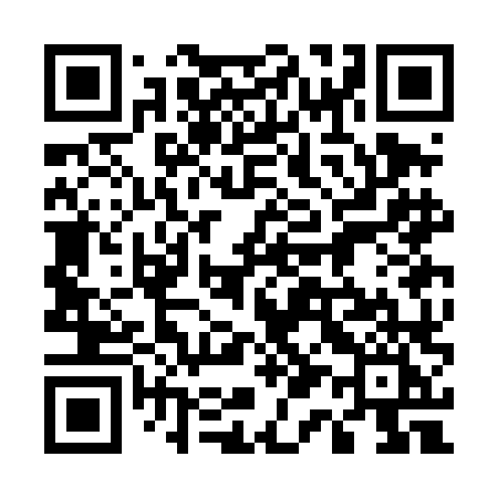 QR code for 513DLI