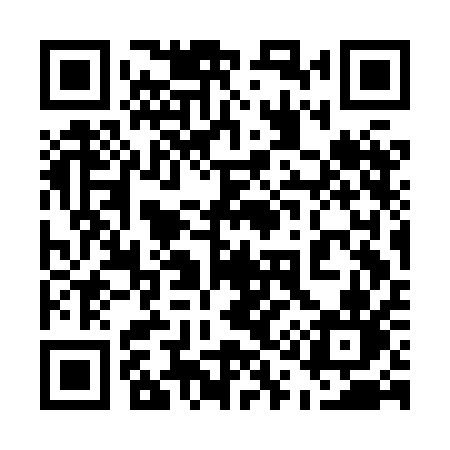 QR code for 513HAN