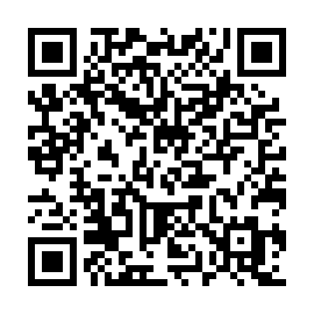 QR code for 517PBM