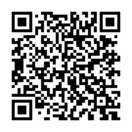 QR code for 519DOE