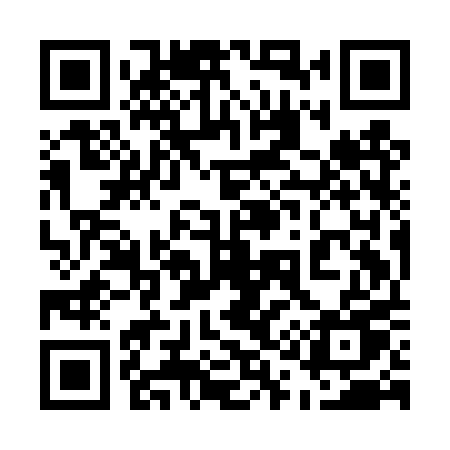 QR code for 519DPU