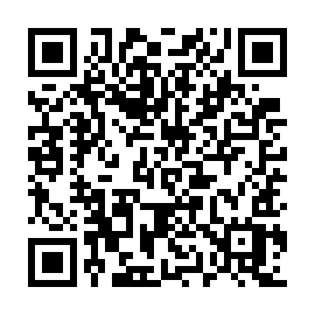 QR code for 519WIW
