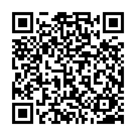 QR code for 530ICO