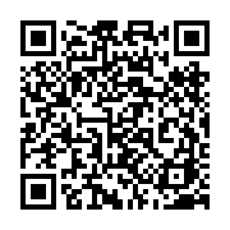 QR code for 533BFA