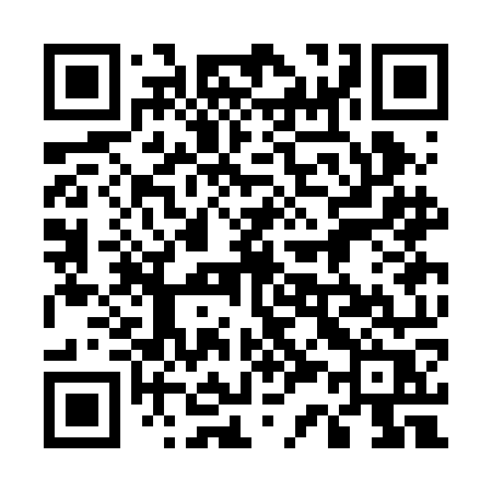 QR code for 533BOR