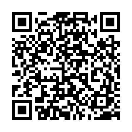 QR code for 533CVS