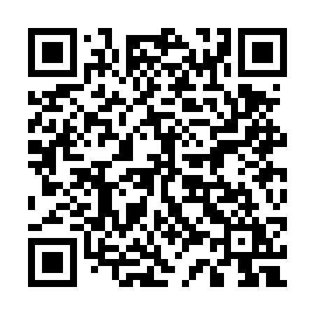 QR code for 533DSY