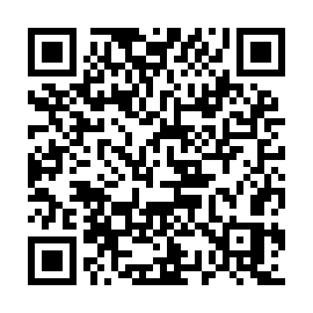 QR code for 533IGS