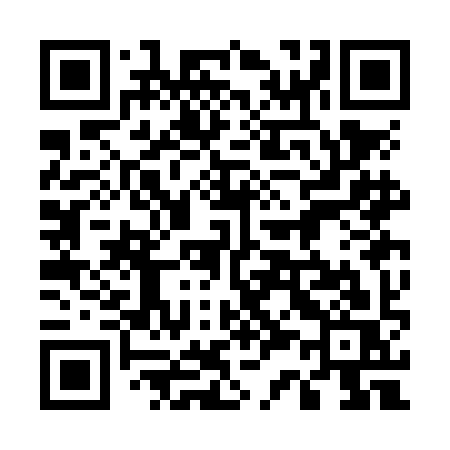 QR code for 533NIS