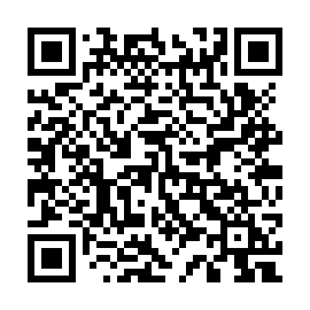 QR code for 533ZWI