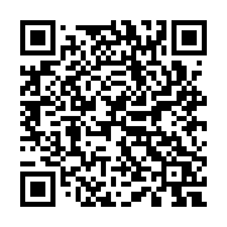 QR code for 541APS