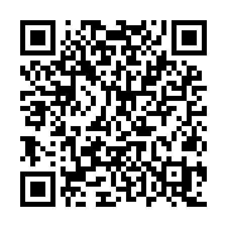 QR code for 541INI