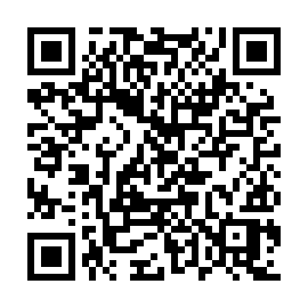QR code for 541LIR