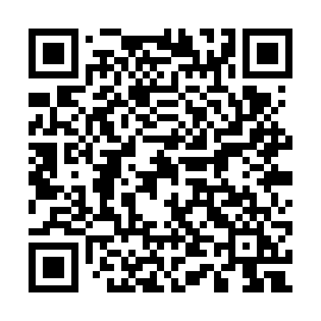 QR code for 541VVI