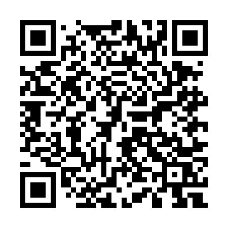 QR code for 545DNS
