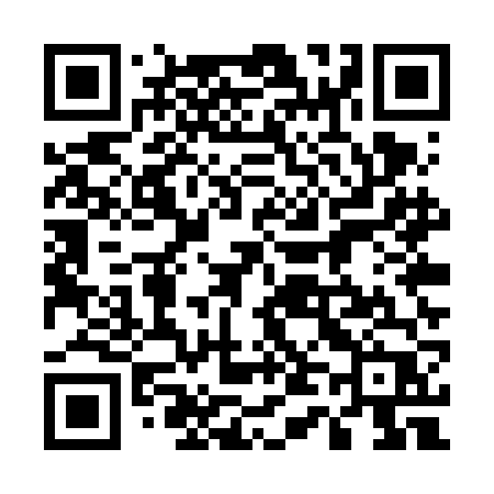 QR code for 545VFP