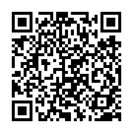 QR code for 555FXI