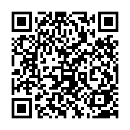 QR code for 555LIE