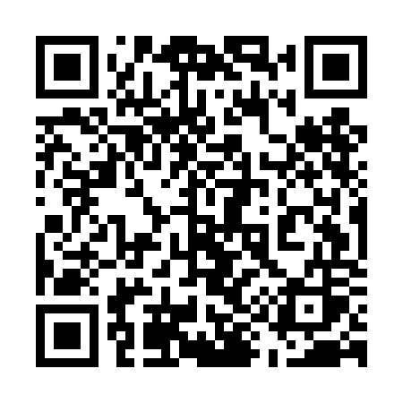 QR code for 595DOS