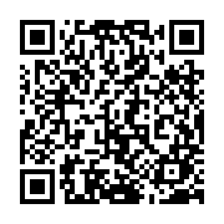 QR code for 595SML