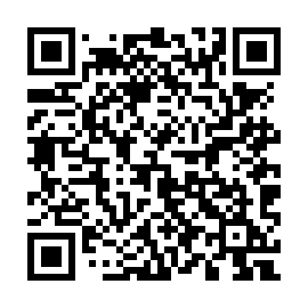 QR code for 596NIE