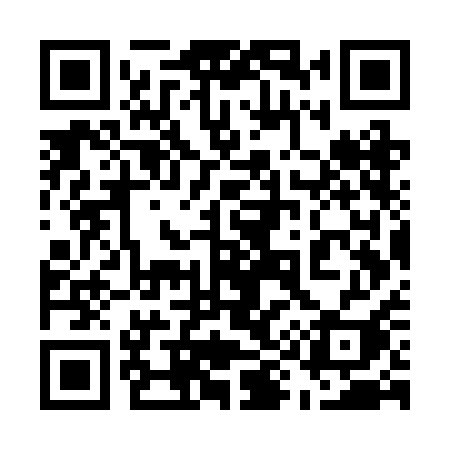 QR code for 597RAI