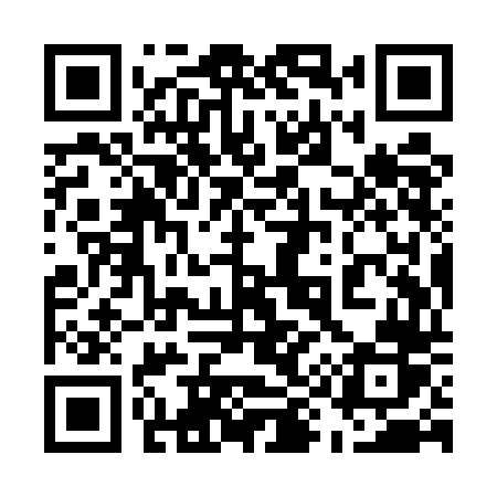QR code for 599UDR