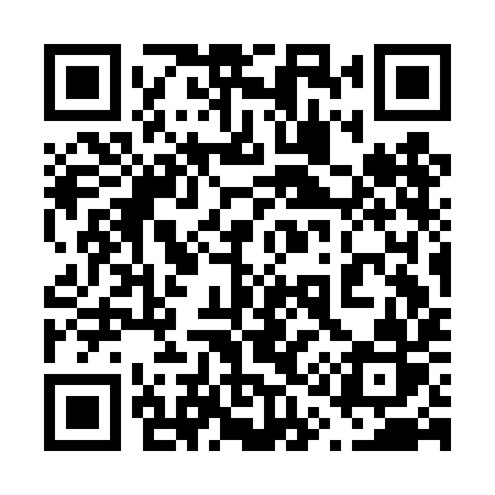 QR code for 613DIR