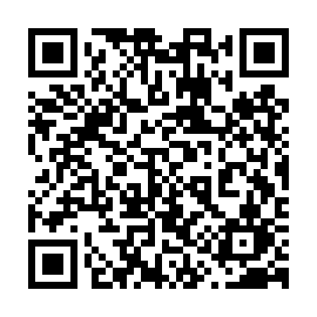 QR code for 613DSN