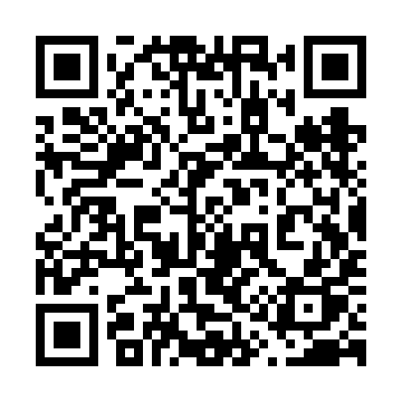 QR code for 613VIP