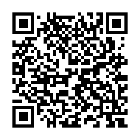QR code for 617SIZ