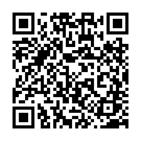 QR code for 617SNS