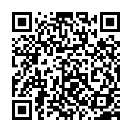 QR code for 629API