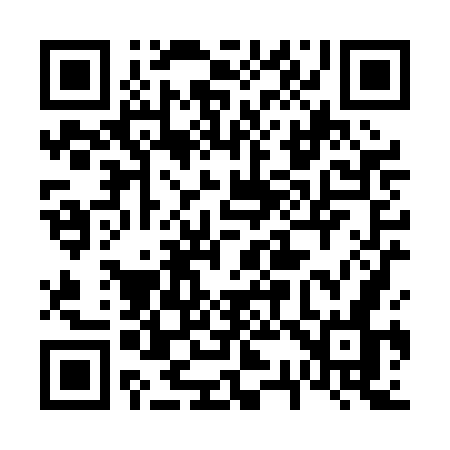 QR code for 638PGN