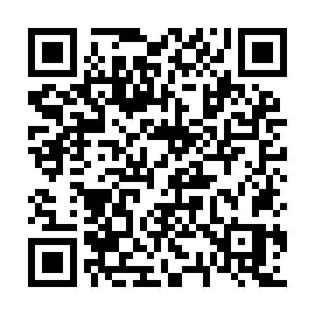 QR code for 639INS