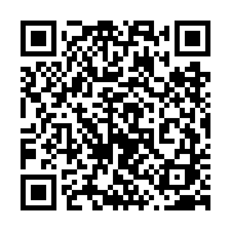 QR code for 647GDI