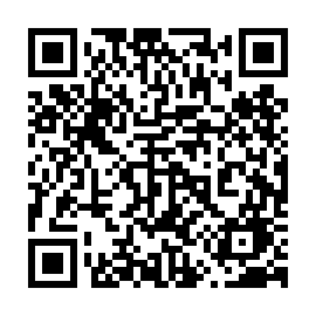 QR code for 650DGG