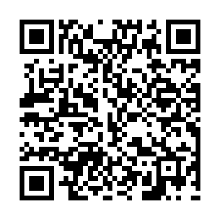 QR code for 653IIR
