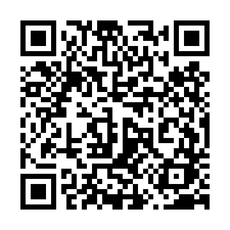 QR code for 655DTK