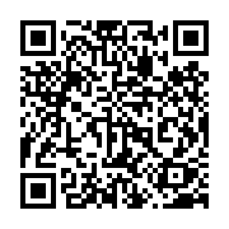 QR code for 655TSX