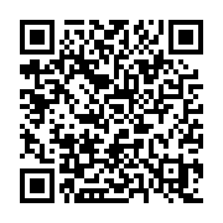 QR code for 656PPI