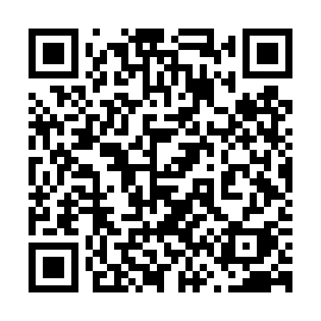 QR code for 666DSI