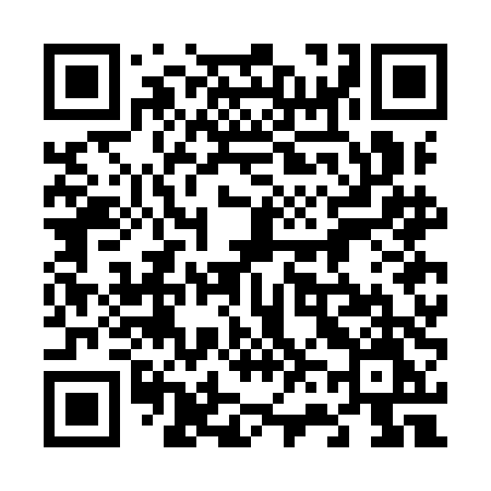 QR code for 667IDM