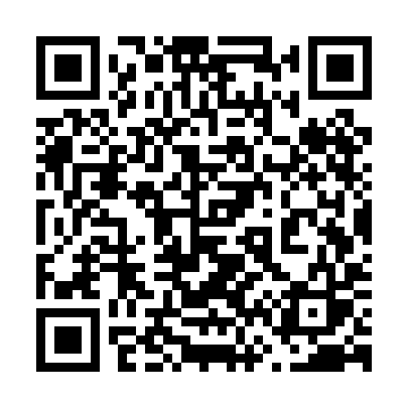 QR code for 667PIS