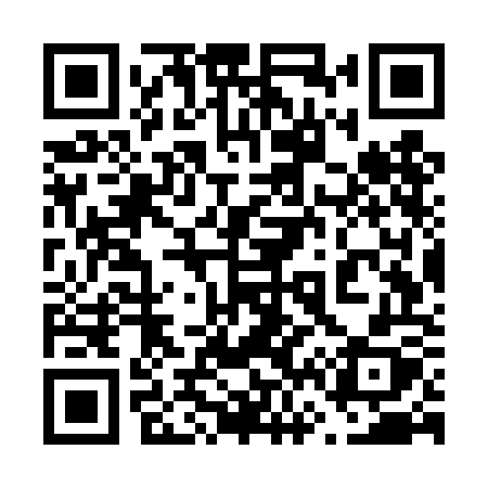 QR code for 667TOX