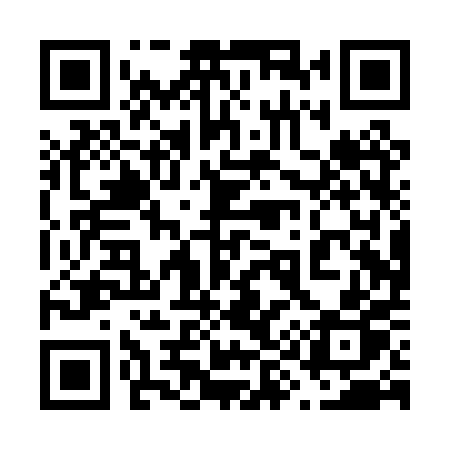 QR code for 690PPP